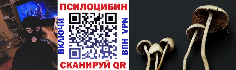 Купить закладки  Хадыженск  Галлюциногенные грибы MAGIC MUSHROOMS 